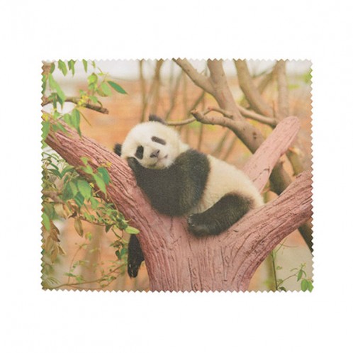 Panda Panda
