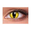 Cat Eye Yellow 1-Day
