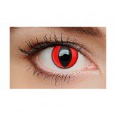 Cat Eye Red 1-Day