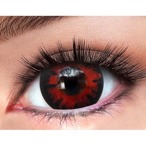 Volturi 1-Day Volturi 1-Day