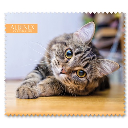 Salvetīte "Cat"