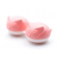 Lęšių konteineriukas "Macarons"